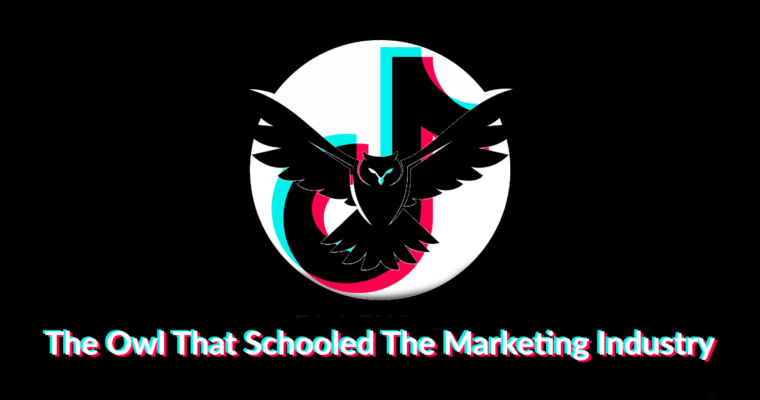 The Owl That Schooled the Marketing Industry