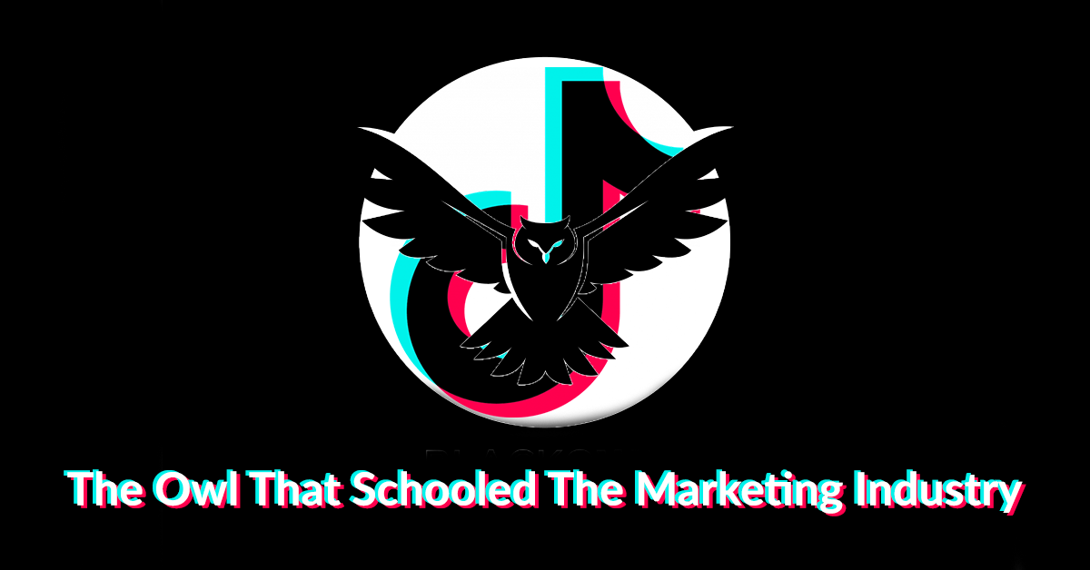 Owl flying in front of TikTok logo